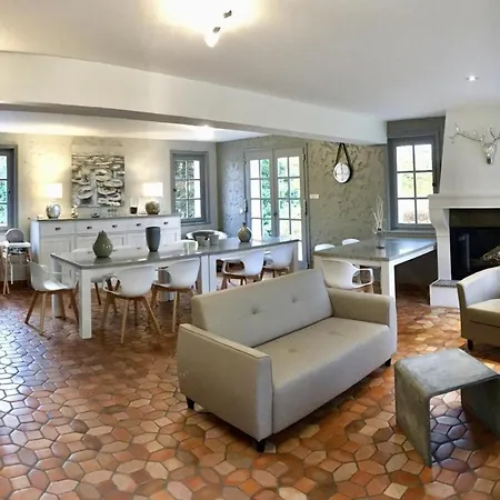 Spacieuse Et Elegante Avec Grand Parc Arbore, Et Equipements Pour 14 Personnes - Fr-1-510-2