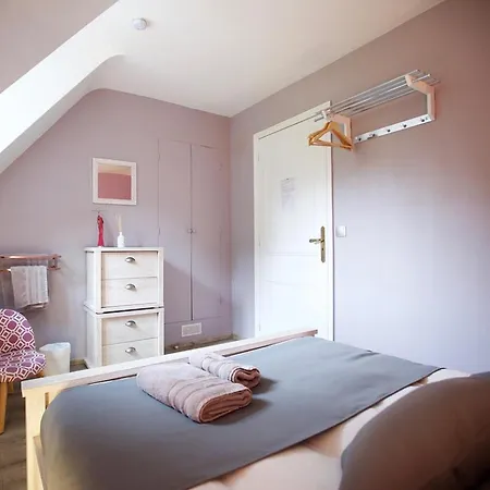 Spacieuse Et Elegante Avec Grand Parc Arbore, Et Equipements Pour 14 Personnes - Fr-1-510-2 *