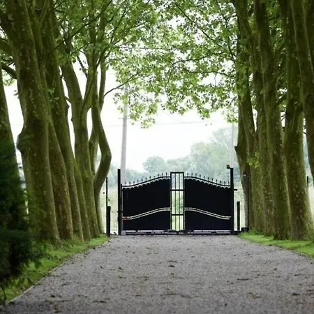 Spacieuse Et Elegante Avec Grand Parc Arbore, Et Equipements Pour 14 Personnes - Fr-1-510-2 Vakantiehuis *