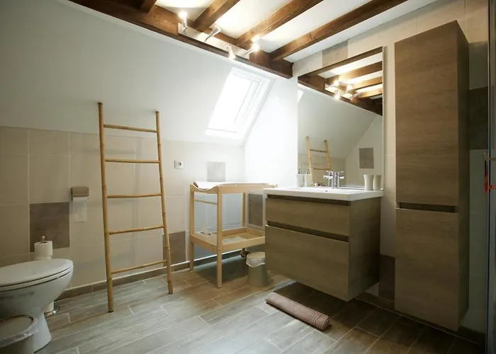 Spacieuse Et Elegante Avec Grand Parc Arbore, Et Equipements Pour 14 Personnes - Fr-1-510-2 * Estaires