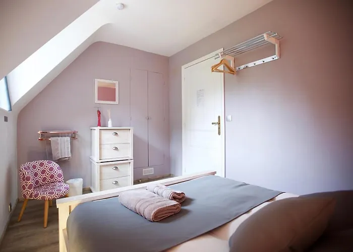 Spacieuse Et Elegante Avec Grand Parc Arbore, Et Equipements Pour 14 Personnes - Fr-1-510-2 *